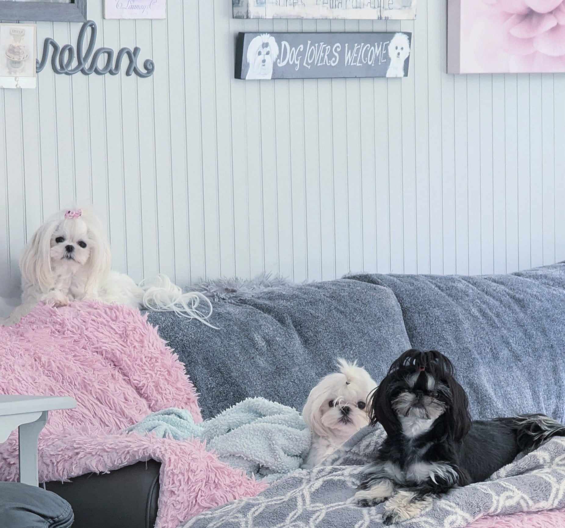 Brat Pack Babydolls puppy 16
