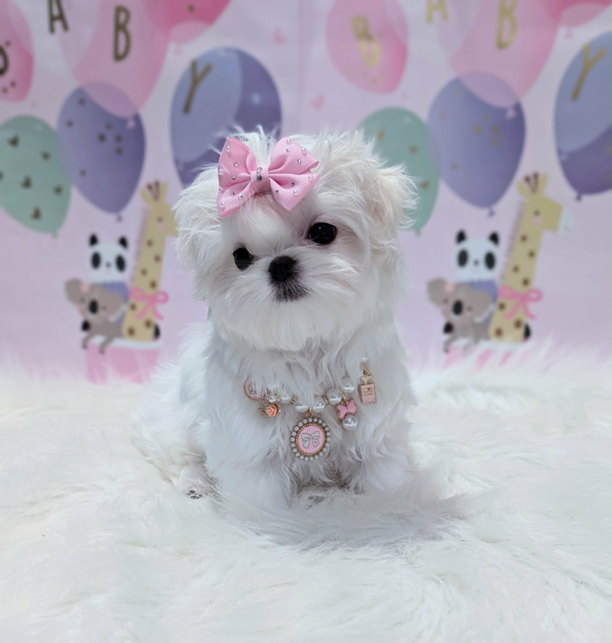 Brat Pack Babydolls puppy 9